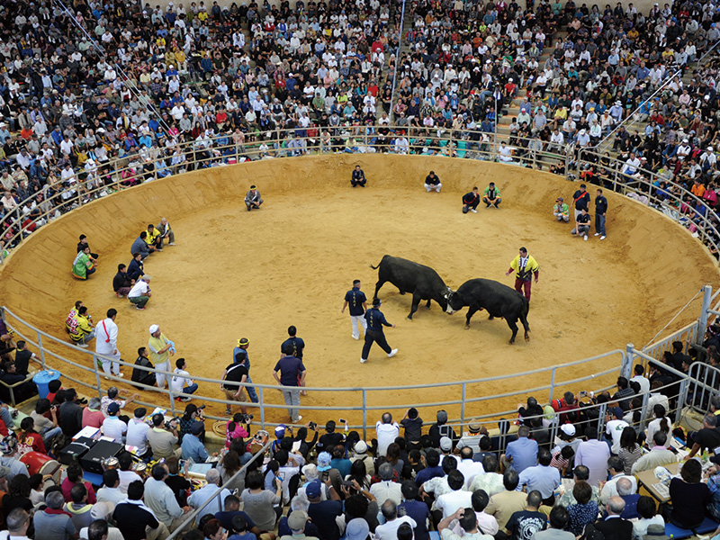 Kubah Serbaguna Ishikawa (Arena Adu Banteng)